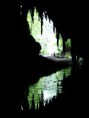 /album/fotogaleria/cueva-del-guacharo-cave-1-jpg/
