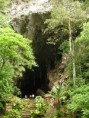 /album/fotogaleria/cueva-del-guacharo-jpg1/